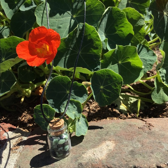 Crystals (Ruby Zoisite)In A Bottle Mini - Picture 2 of 2